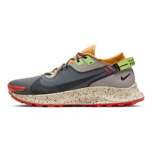 Tenis-Nike-Pegasus-Trail-2-Gtx-Masculino-Multicolor