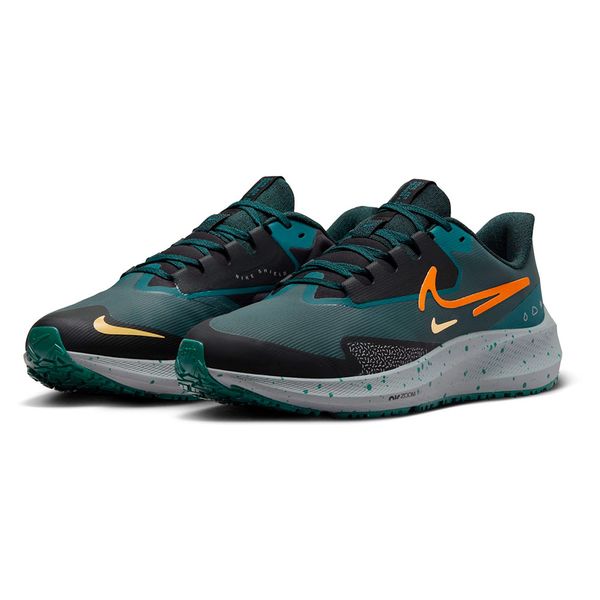 Nike store pegasus shield